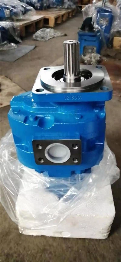 W066800000 Pompa ad ingranaggi originale SEM660B